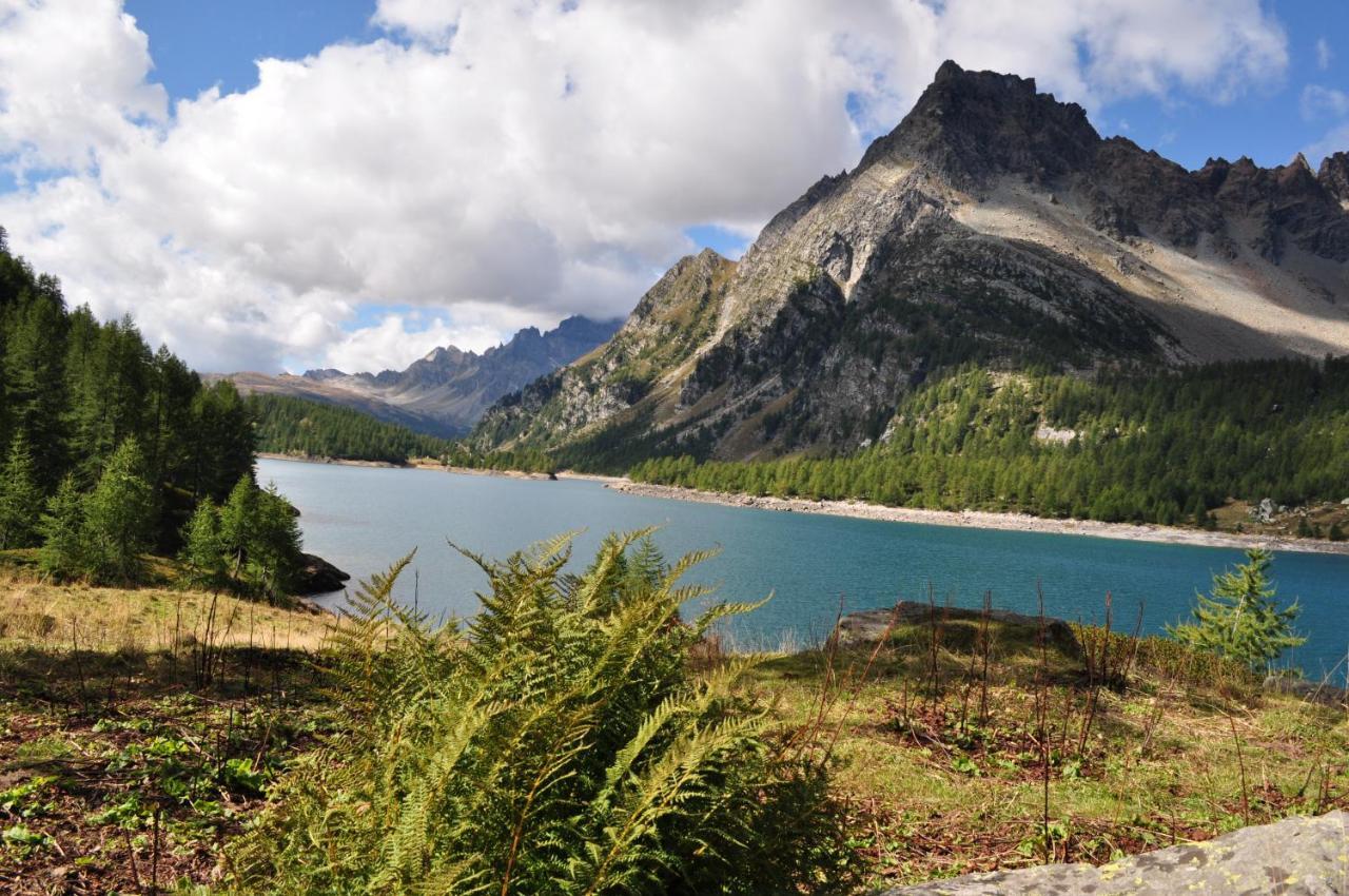 Вилла Casa Vacanza In Tipico Chalet Di Montagna Варцо Экстерьер фото