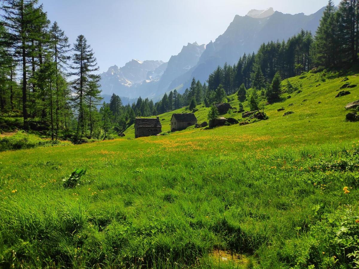 Вилла Casa Vacanza In Tipico Chalet Di Montagna Варцо Экстерьер фото